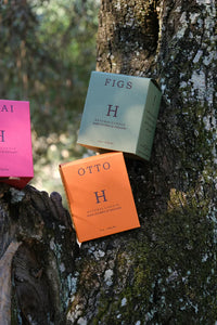 Huskke & Co candle gift boxes in vibrant colours—Figs, Otto, and Chai—beautifully displayed against a tree in a natural setting