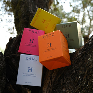 Huskke & Co natural candles in their colourful boxes arranged on a tree branch